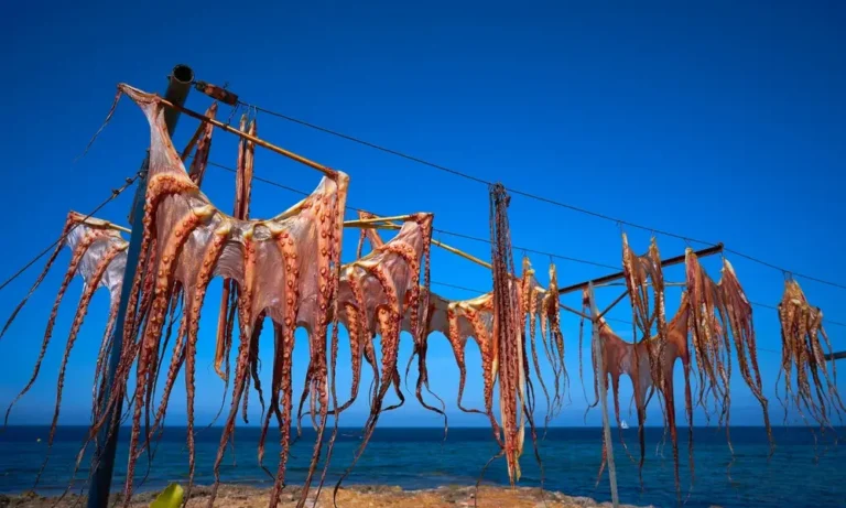 alla scoperta della cucina tipica di formentera