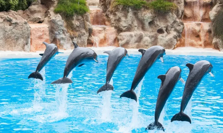 cosa fare tenerife con bambini