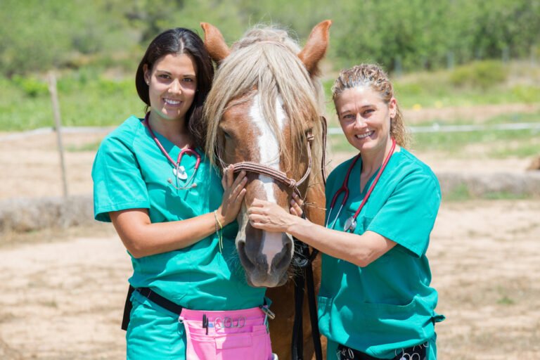 responsabilita veterinario trattamento cavallo sportivo